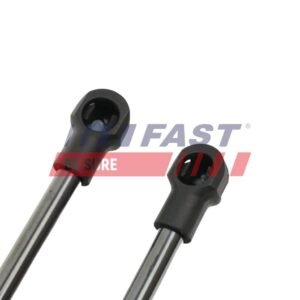 FAST FT00199K